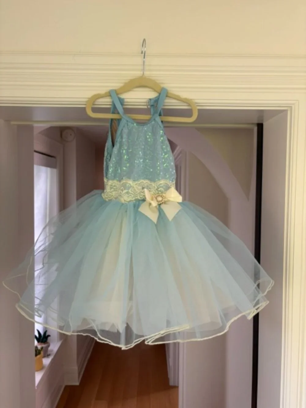 Like New: Path of the Wind Tutu in 3T/4T - Weissman Showtime